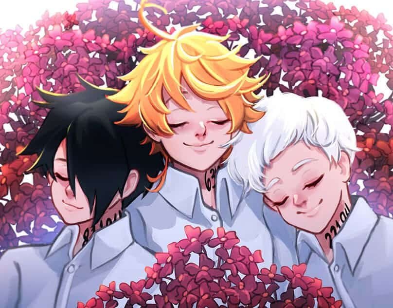 The Promised Neverland Chapter 177 Spoilers Release Date And