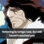 8 best Zangetsu quotes for Bleach Fans | Manga, Anime Spoilers and quotes